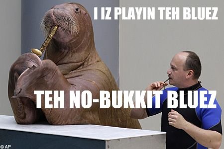 bukkit blues